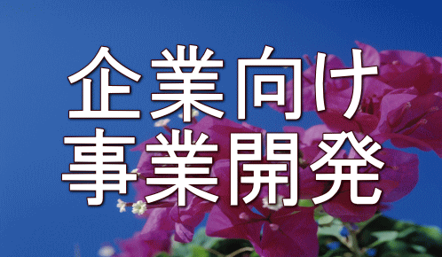 企業向け 事業開発